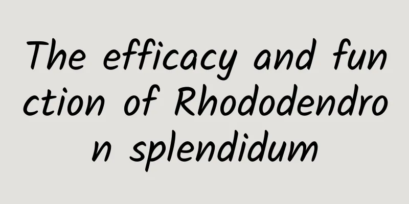 The efficacy and function of Rhododendron splendidum