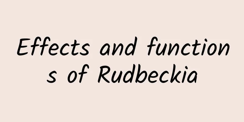 Effects and functions of Rudbeckia