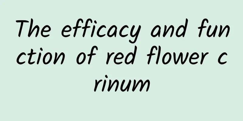 The efficacy and function of red flower crinum