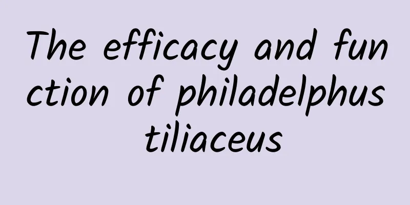 The efficacy and function of philadelphus tiliaceus