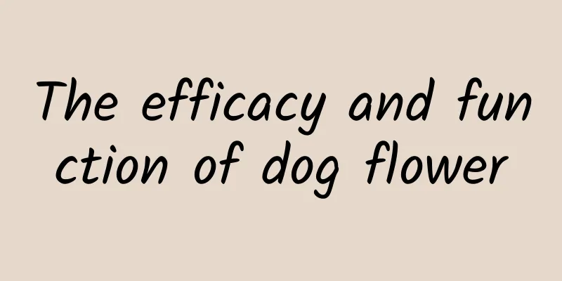 The efficacy and function of dog flower