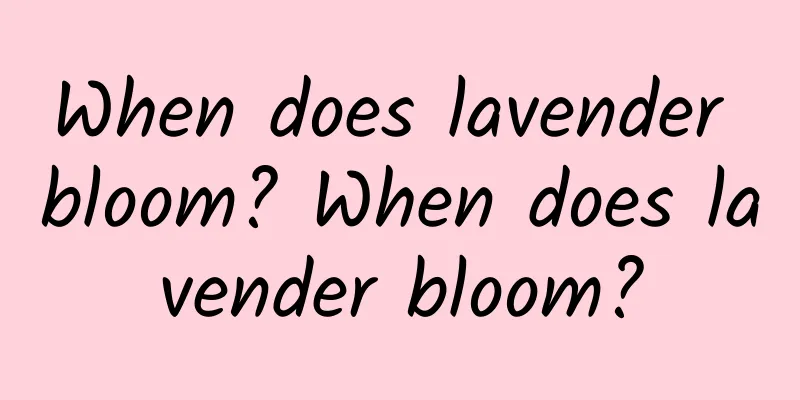 When does lavender bloom? When does lavender bloom?