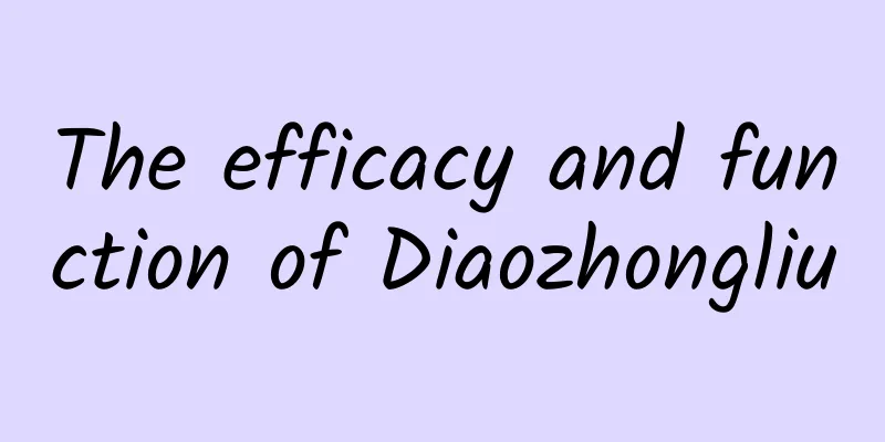 The efficacy and function of Diaozhongliu