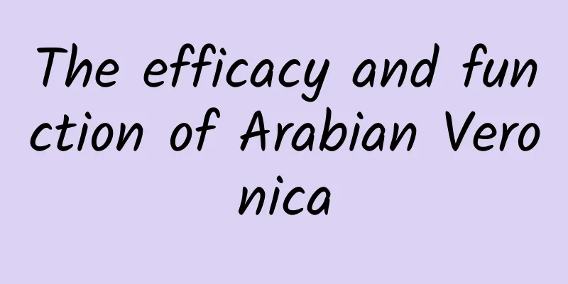 The efficacy and function of Arabian Veronica