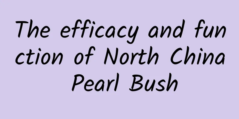 The efficacy and function of North China Pearl Bush