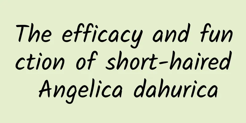 The efficacy and function of short-haired Angelica dahurica