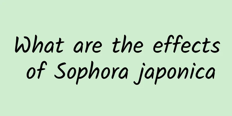 What are the effects of Sophora japonica