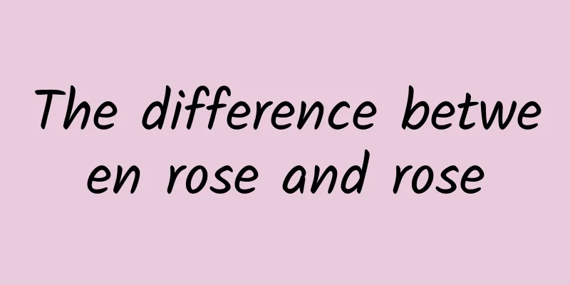 The difference between rose and rose