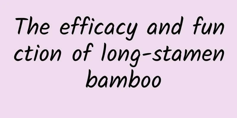 The efficacy and function of long-stamen bamboo