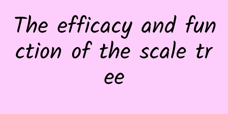 The efficacy and function of the scale tree