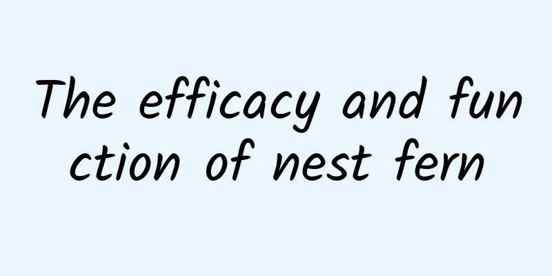 The efficacy and function of nest fern