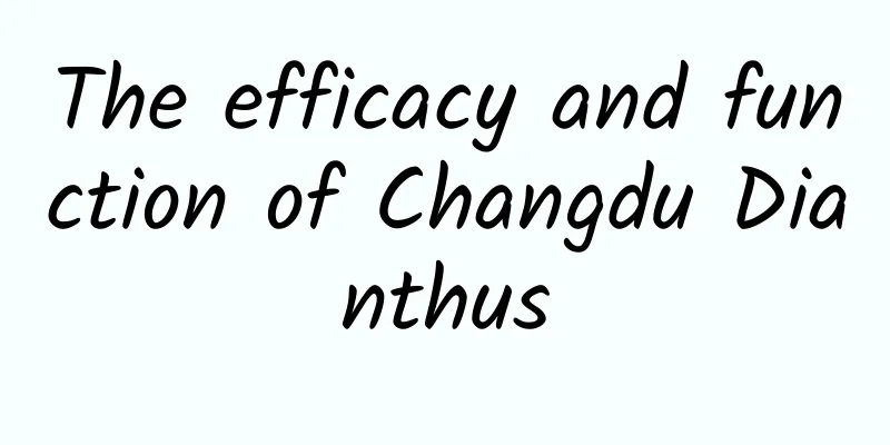 The efficacy and function of Changdu Dianthus