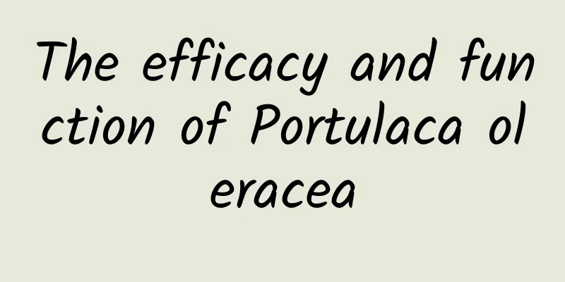 The efficacy and function of Portulaca oleracea