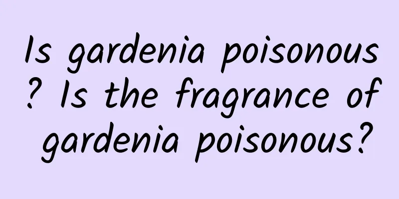 Is gardenia poisonous? Is the fragrance of gardenia poisonous?