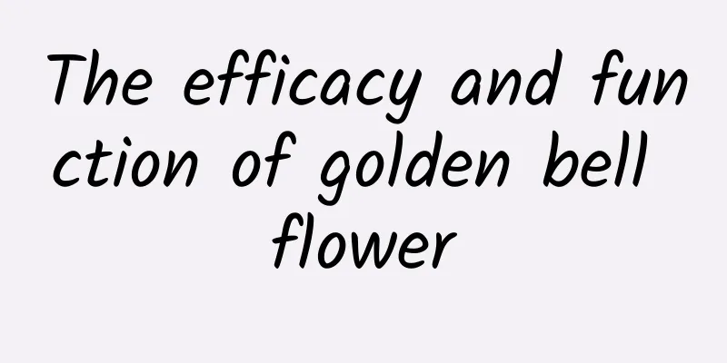 The efficacy and function of golden bell flower