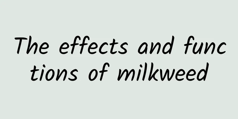 The effects and functions of milkweed