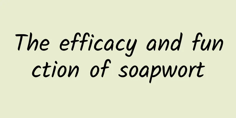 The efficacy and function of soapwort