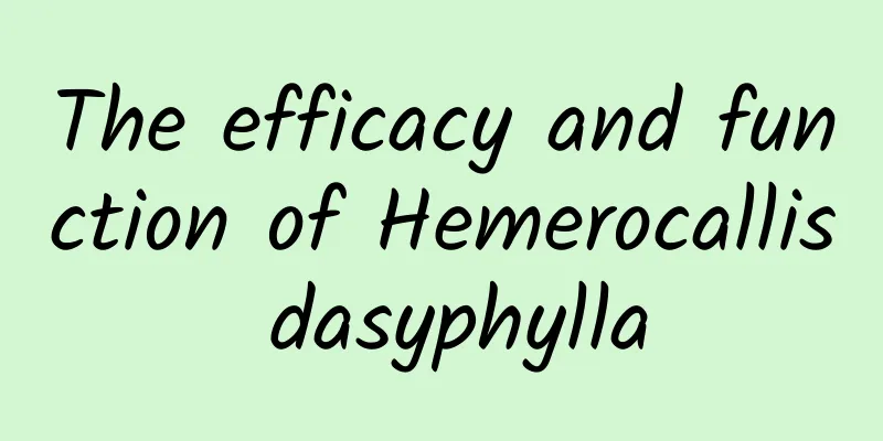 The efficacy and function of Hemerocallis dasyphylla