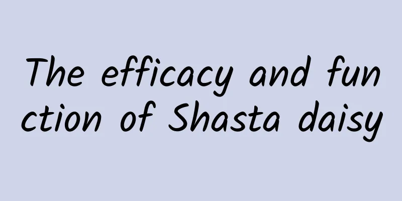 The efficacy and function of Shasta daisy