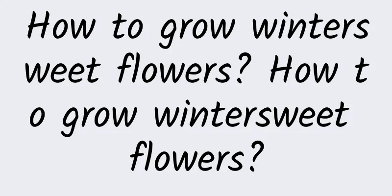 How to grow wintersweet flowers? How to grow wintersweet flowers?