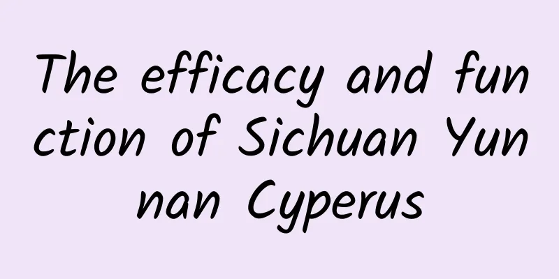 The efficacy and function of Sichuan Yunnan Cyperus