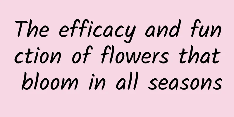 The efficacy and function of flowers that bloom in all seasons