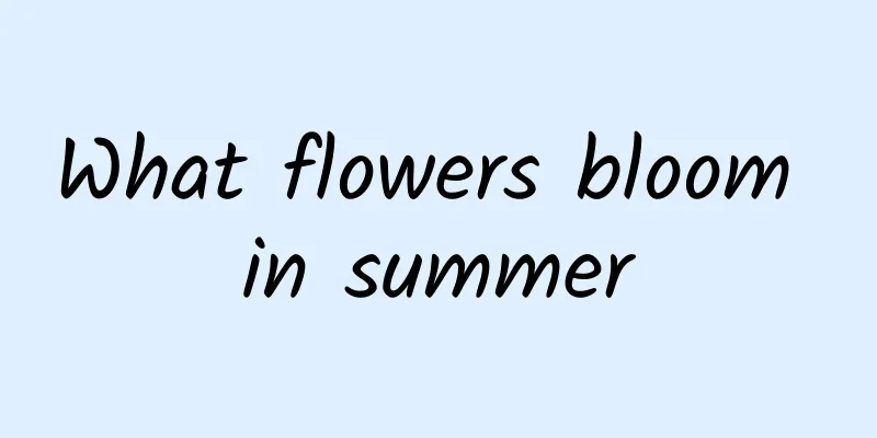 What flowers bloom in summer