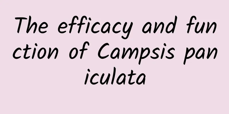 The efficacy and function of Campsis paniculata