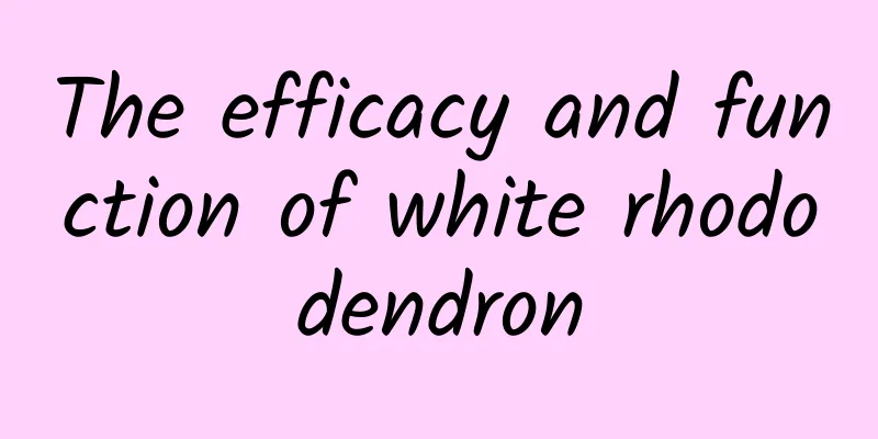 The efficacy and function of white rhododendron