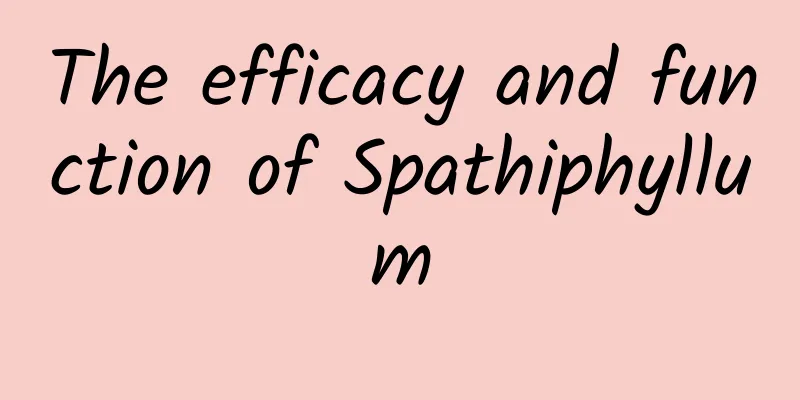 The efficacy and function of Spathiphyllum