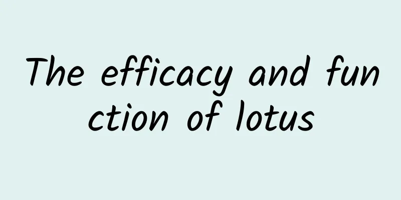 The efficacy and function of lotus