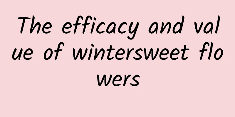 The efficacy and value of wintersweet flowers