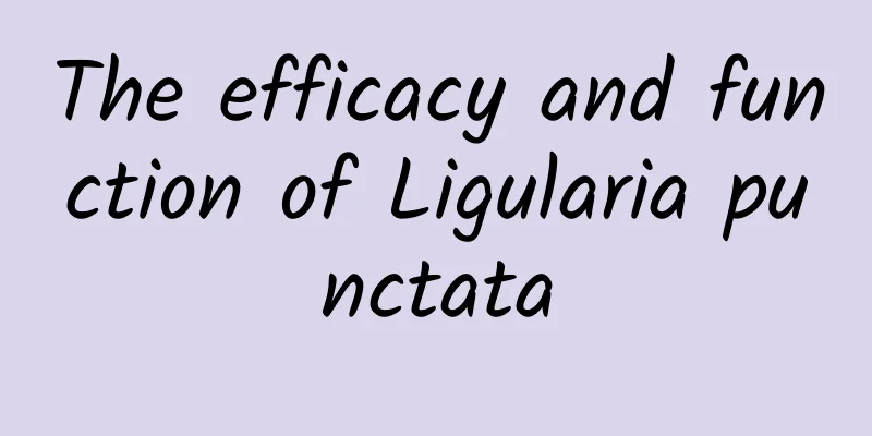 The efficacy and function of Ligularia punctata