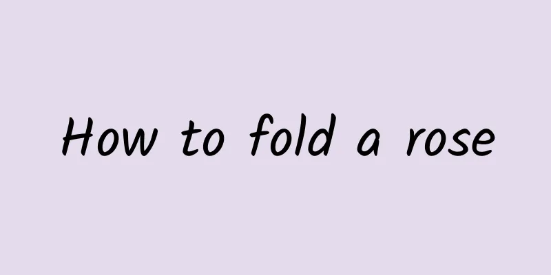 How to fold a rose