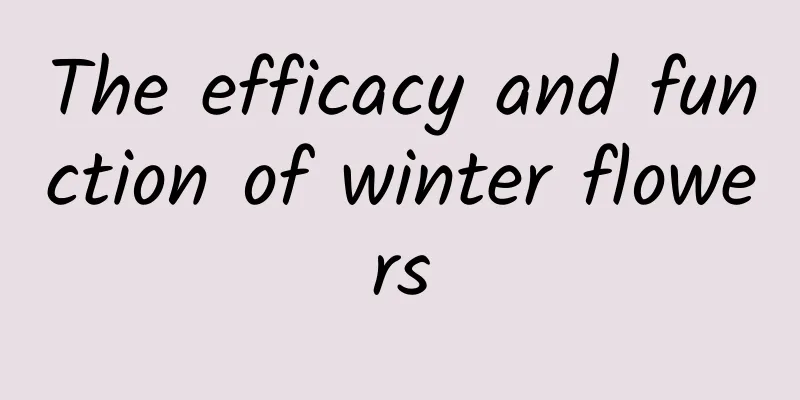 The efficacy and function of winter flowers