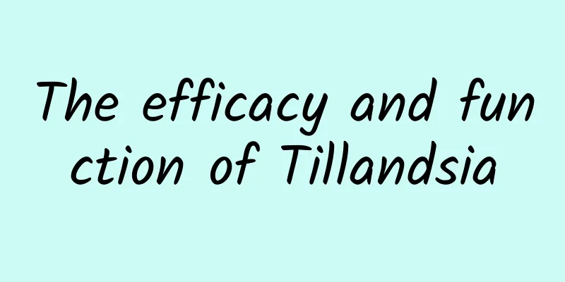 The efficacy and function of Tillandsia