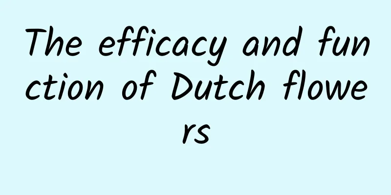 The efficacy and function of Dutch flowers