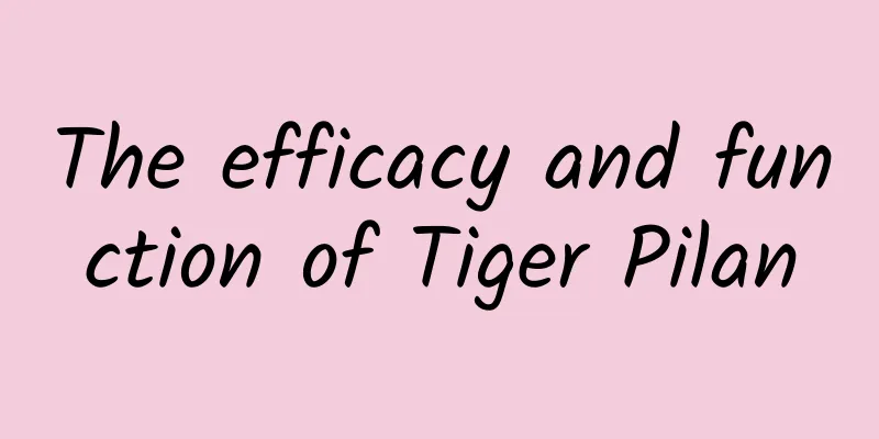 The efficacy and function of Tiger Pilan