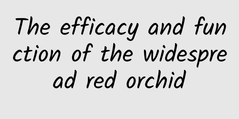 The efficacy and function of the widespread red orchid