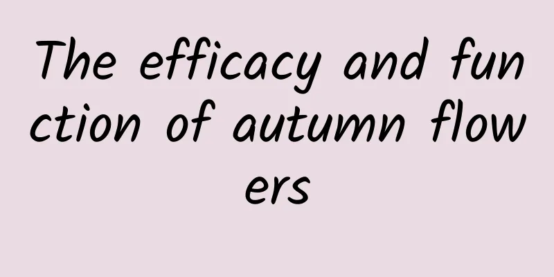 The efficacy and function of autumn flowers