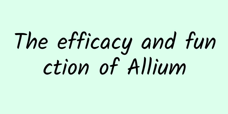 The efficacy and function of Allium