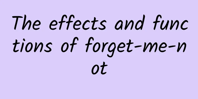 The effects and functions of forget-me-not