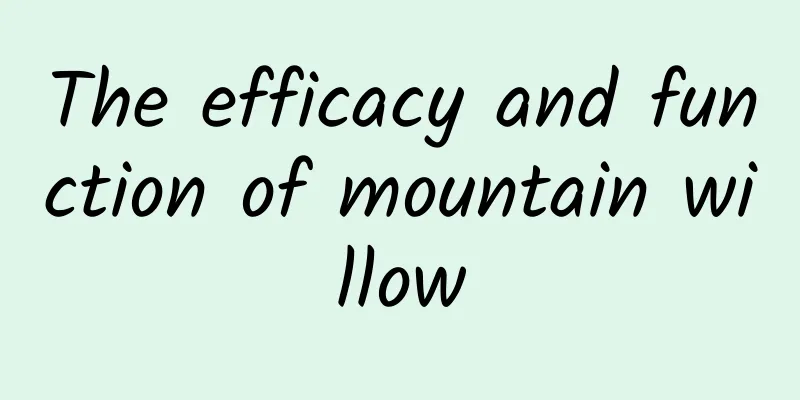 The efficacy and function of mountain willow