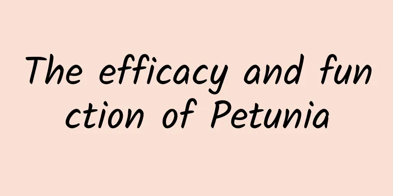 The efficacy and function of Petunia