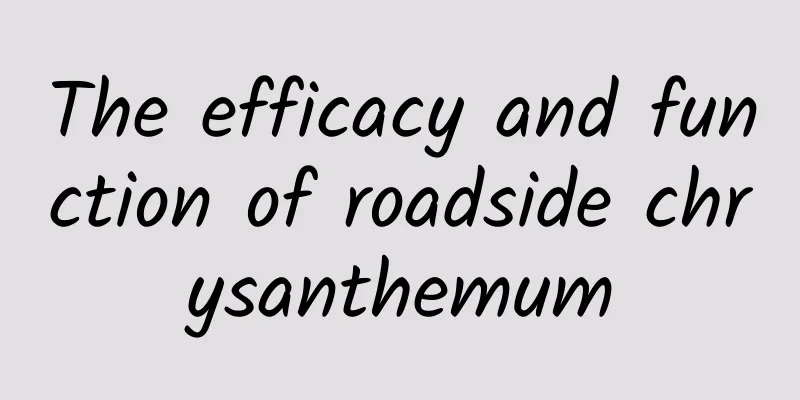 The efficacy and function of roadside chrysanthemum