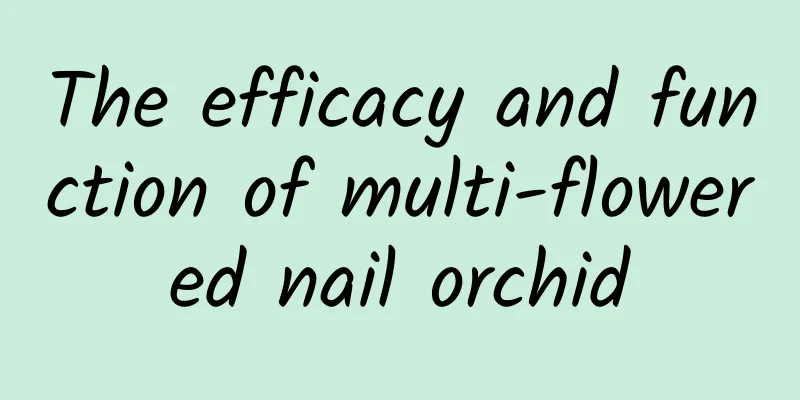 The efficacy and function of multi-flowered nail orchid