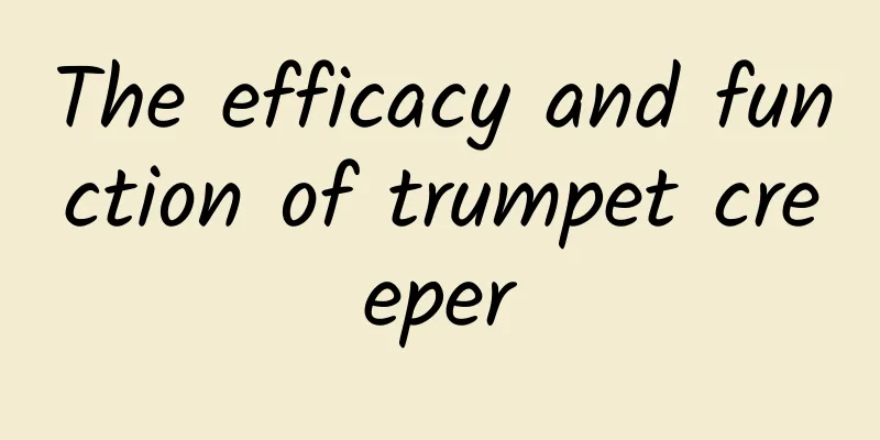 The efficacy and function of trumpet creeper