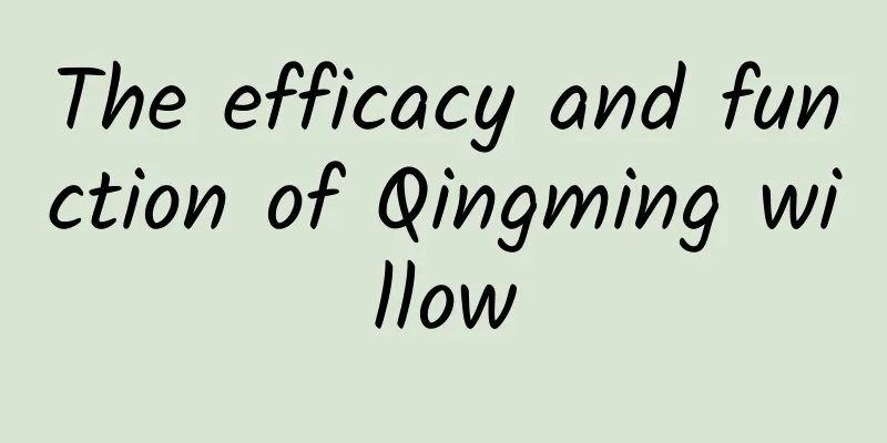 The efficacy and function of Qingming willow