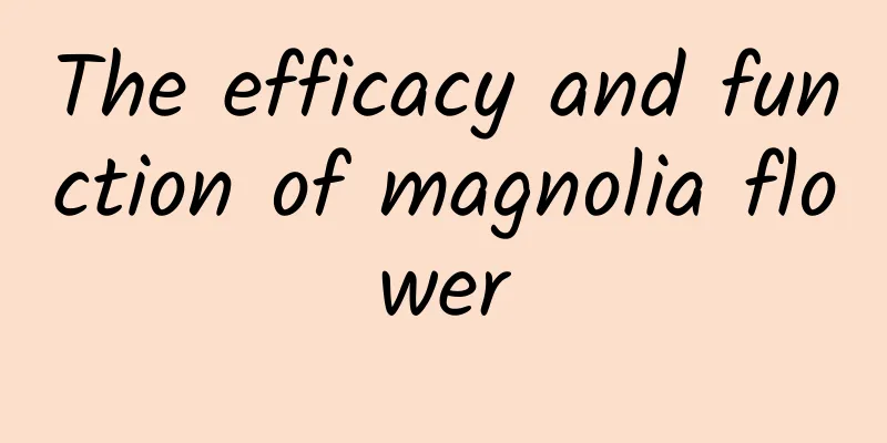 The efficacy and function of magnolia flower