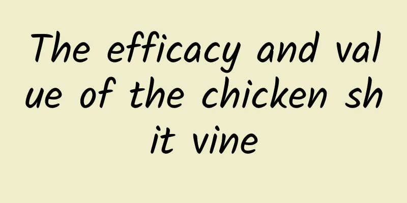 The efficacy and value of the chicken shit vine